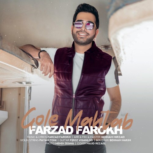 Farzad Farokh