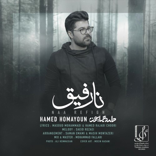 Hamed Homayoun