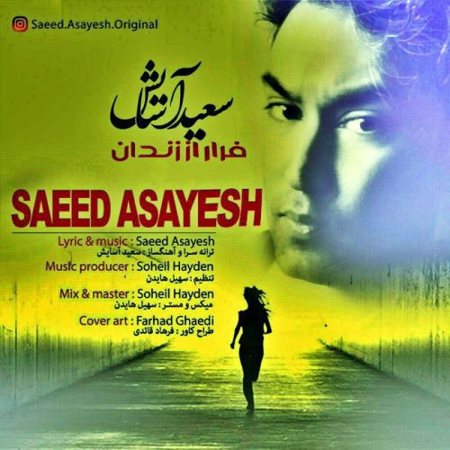 Saeed Asayesh