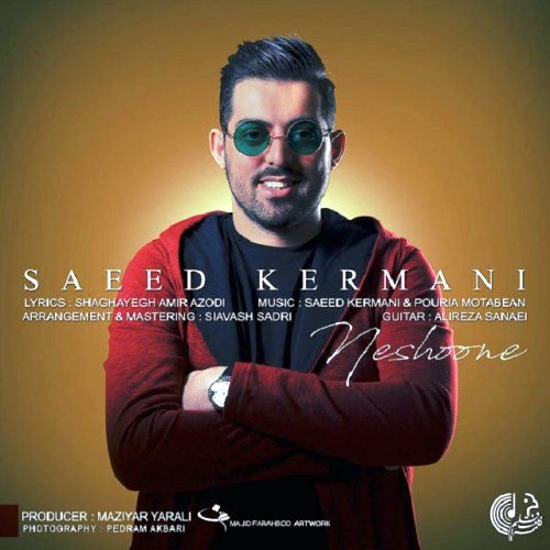 Saeed Kermani