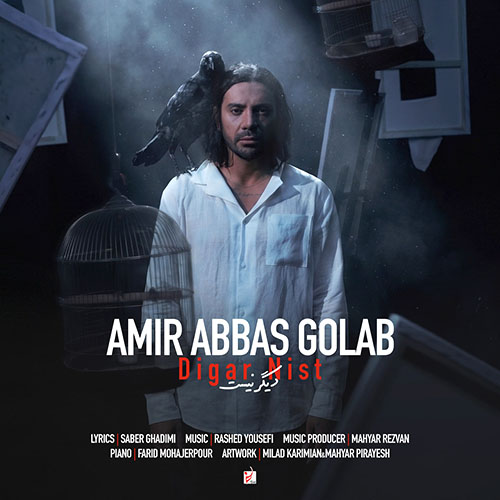 Amirabbas Golab<span class='dash'> - </span><span class='mobile-break'>Digar Nist</span>