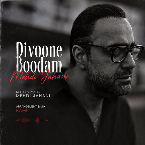 Mehdi Jahani<span class='dash'> - </span><span class='mobile-break'>Divoone Boodam</span>